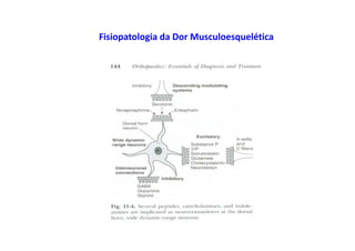 Fisiopatologia da Dor Musculoesquelética
 