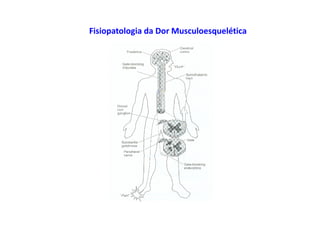 Fisiopatologia da Dor Musculoesquelética
 