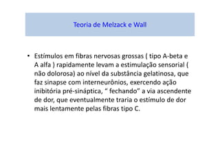 Teoria de Melzack e Wall
• Estímulos em fibras nervosas grossas ( tipo A-beta e
A alfa ) rapidamente levam a estimulação sensorial (
não dolorosa) ao nível da substância gelatinosa, que
faz sinapse com interneurônios, exercendo ação
inibitória pré-sináptica, “ fechando” a via ascendente
de dor, que eventualmente traria o estímulo de dor
mais lentamente pelas fibras tipo C.
 