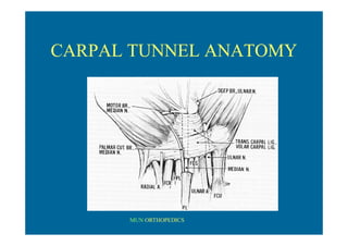 MUN ORTHOPEDICS
CARPAL TUNNEL ANATOMY
 