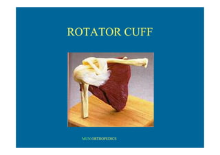 MUN ORTHOPEDICS
ROTATOR CUFF
 
