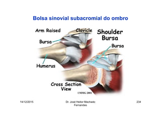 14/12/2015 Dr. José Heitor Machado
Fernandes
234
Bolsa sinovial subacromial do ombro
 