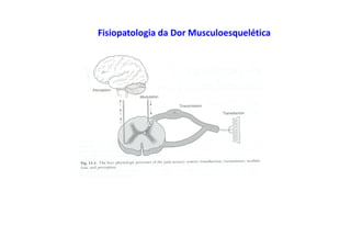 figura
Fisiopatologia da Dor Musculoesquelética
 