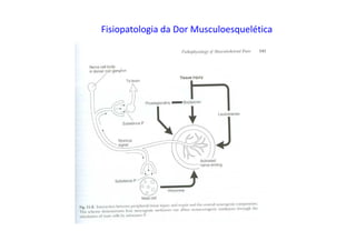 Fisiopatologia da Dor Musculoesquelética
 