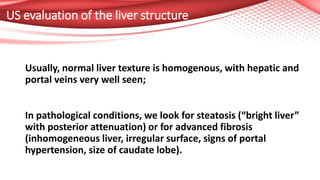 US evaluation of the liver structure
Usually, normal liver texture is homogenous, with hepatic and
portal veins very well seen;
In pathological conditions, we look for steatosis (“bright liver”
with posterior attenuation) or for advanced fibrosis
(inhomogeneous liver, irregular surface, signs of portal
hypertension, size of caudate lobe).
 