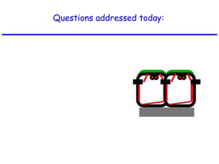 Questions addressed today:
 