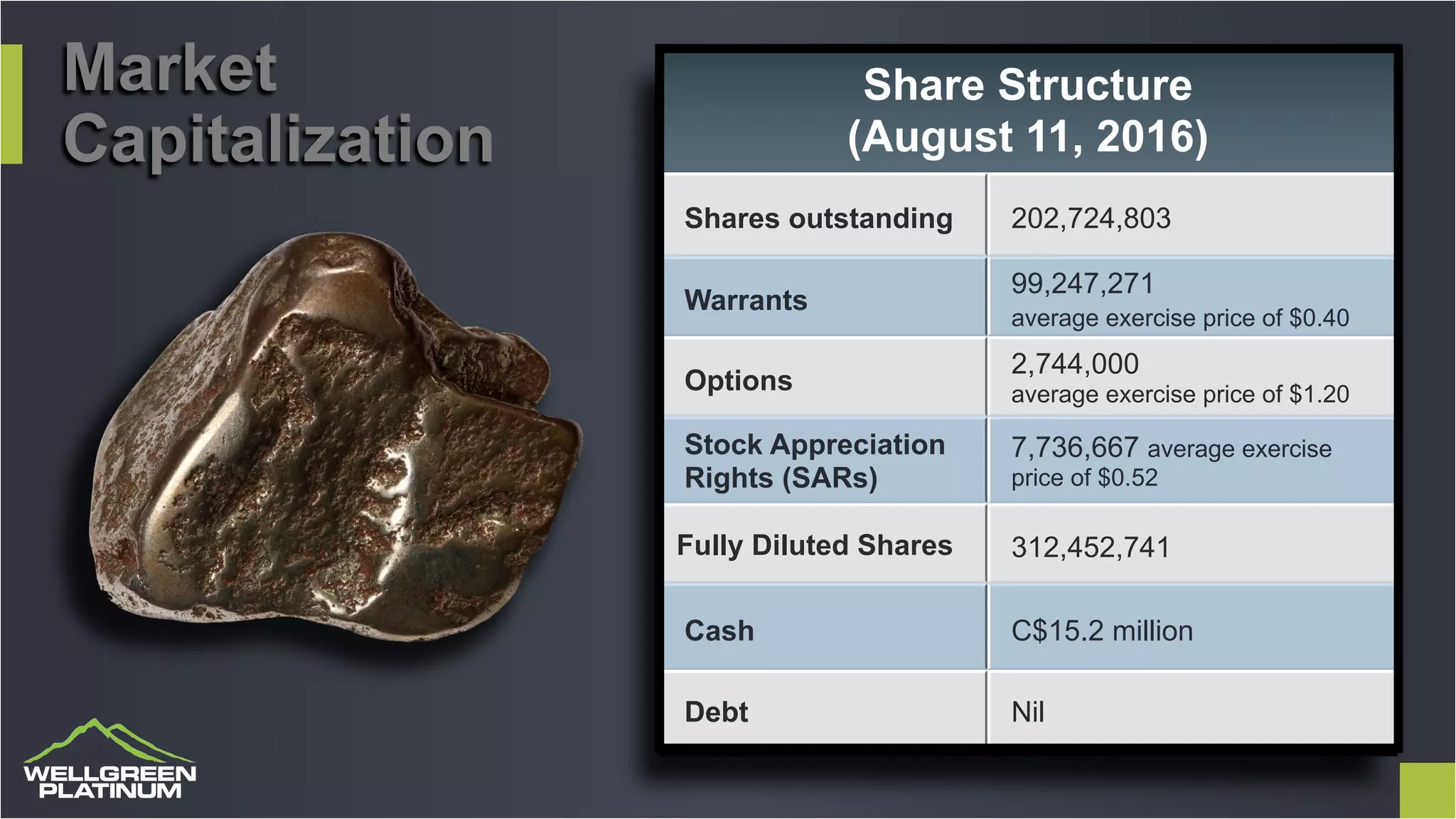 Share Structure
(August 11, 2016)
Shares outstanding 202,724,803
Warrants
99,247,271
average exercise price of $0.40
Options
2,744,000
average exercise price of $1.20
Stock Appreciation
Rights (SARs)
7,736,667 average exercise
price of $0.52
Fully Diluted Shares 312,452,741
Cash C$15.2 million
Debt Nil
Market
Capitalization
 