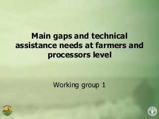 Main gaps and technical
assistance needs at farmers and
processors level
Working group 1
 
