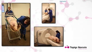 Genetic gain on body composition in pigs by Computed Tomography (CT). Return on investment (invited talk)