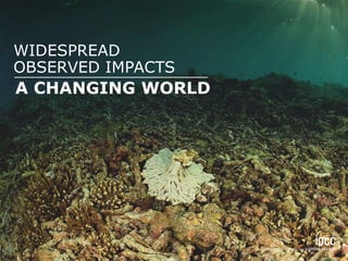 A CHANGING WORLD
WIDESPREAD
OBSERVED IMPACTS
 