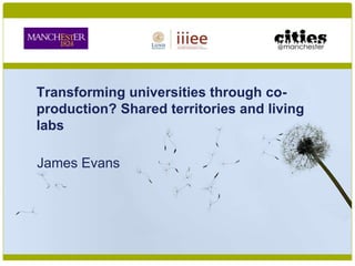 Transforming universities through co-
production? Shared territories and living
labs
James Evans
 