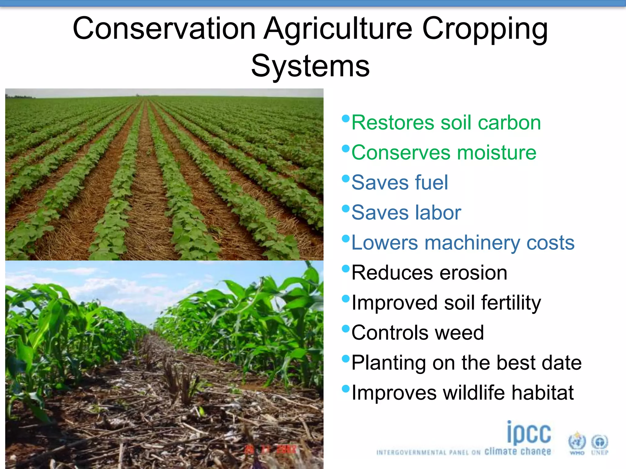 Working Group III contribution to the
IPCC Fifth Assessment Report
Conservation Agriculture Cropping
Systems
•Restores soil carbon
•Conserves moisture
•Saves fuel
•Saves labor
•Lowers machinery costs
•Reduces erosion
•Improved soil fertility
•Controls weed
•Planting on the best date
•Improves wildlife habitat
 