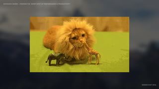 IDIOMATIC EMBER – FINDING THE SWEET SPOT OF PERFORMANCE & PRODUCTIVITY
EMBERCONF 2016
 