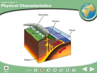 Physical Characteristics 2 