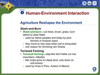Agriculture Reshapes the Environment
Slash-and-Burn
• Slash-and-burn—cut trees, brush, grass; burn
debris to clear fields
- used by native peoples and today by poor
farmers in Amazon basin
- they move to new area when soil is exhausted
- one reason for shrinking rain forests
Human-Environment Interaction
SECTION
3
Terraced Farming
• Terraced farming—step-like farm fields cut into
mountains, hillsides
- lets crops grow on steep land, cuts down on
soil erosion
- used by Incas in Peru, Aztecs in Mexico
NEXT
 