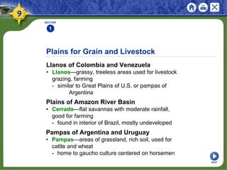 Plains for Grain and Livestock
Llanos of Colombia and Venezuela
• Llanos—grassy, treeless areas used for livestock
grazing, farming
- similar to Great Plains of U.S. or pampas of
Argentina
SECTION
1
Plains of Amazon River Basin
• Cerrado—flat savannas with moderate rainfall,
good for farming
- found in interior of Brazil, mostly undeveloped
Pampas of Argentina and Uruguay
• Pampas—areas of grassland, rich soil, used for
cattle and wheat
- home to gaucho culture centered on horsemen
NEXT
 