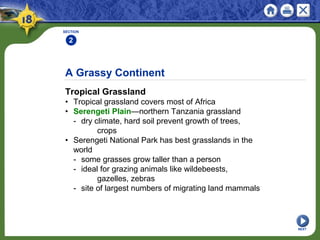 A Grassy Continent
Tropical Grassland
• Tropical grassland covers most of Africa
• Serengeti Plain—northern Tanzania grassland
- dry climate, hard soil prevent growth of trees,
crops
• Serengeti National Park has best grasslands in the
world
- some grasses grow taller than a person
- ideal for grazing animals like wildebeests,
gazelles, zebras
- site of largest numbers of migrating land mammals
SECTION
2
NEXT
 