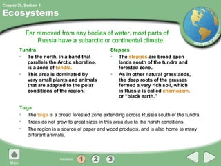 Ecosystems Tundra To the north, in a band that parallels the Arctic shoreline, is a zone of  tundra. This area is dominated by very small plants and animals that are adapted to the polar conditions of the region. Steppes The  steppes  are broad open lands south of the tundra and forested zone.. As in other natural grasslands, the deep roots of the grasses formed a very rich soil, which in Russia is called  chernozem,  or “black earth.” Far removed from any bodies of water, most parts of Russia have a subarctic or continental climate. Taiga The  taiga  is a broad forested zone extending across Russia south of the tundra. Trees do not grow to great sizes in this area due to the harsh conditions. The region is a source of paper and wood products, and is also home to many different animals. 1 