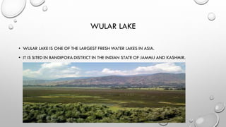 Ramsar site in india | PDF