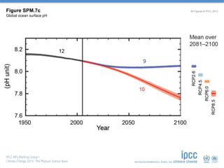 Figure SPM.7c 
Global ocean surface pH 
All Figures © IPCC 2013 
 