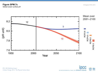 Figure SPM.7c
Global ocean surface pH
All Figures © IPCC 2013
 