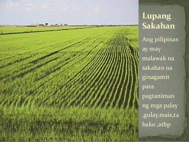 yaman ng pilipinas Depinisyon: ang mga bagay na nagmumula sa kalikasan tulad ng lupa, kabundukan, kagubatan, karagatan, mga ilog at lawa maging ang mga depositong mineral ang mga ito ay tinatawag na kayamanang mana ng bansa pagpapalawak: ang mga sumusunod na larawan ay mga likas na yaman na karaniwang. yaman ng pilipinas Depinisyon: ang mga bagay na nagmumula sa kalikasan tulad ng lupa, kabundukan, kagubatan, karagatan, mga ilog at lawa maging ang mga depositong mineral ang mga ito ay tinatawag na kayamanang mana ng bansa pagpapalawak: ang mga sumusunod na larawan ay mga likas na yaman na karaniwang.