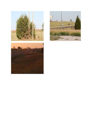 Field Services - Pre-Construction Onsite Inspection Sample Report