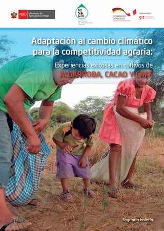 Adaptación al cambio climático
para la competitividad agraria:
Experiencias exitosas en cultivos de
ALGARROBA, CACAO Y CAFÉ
Segundo boletín
 