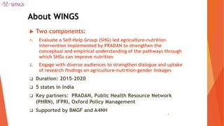 Pathways from Women’s Group-based Programs to Nutrition Change in South Asia: A Conceptual Framework and Literature Review