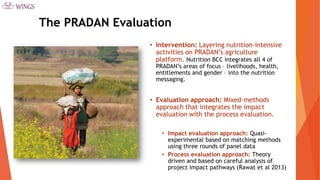 Pathways from Women’s Group-based Programs to Nutrition Change in South Asia: A Conceptual Framework and Literature Review