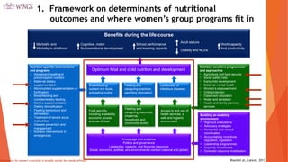 Pathways from Women’s Group-based Programs to Nutrition Change in South Asia: A Conceptual Framework and Literature Review
