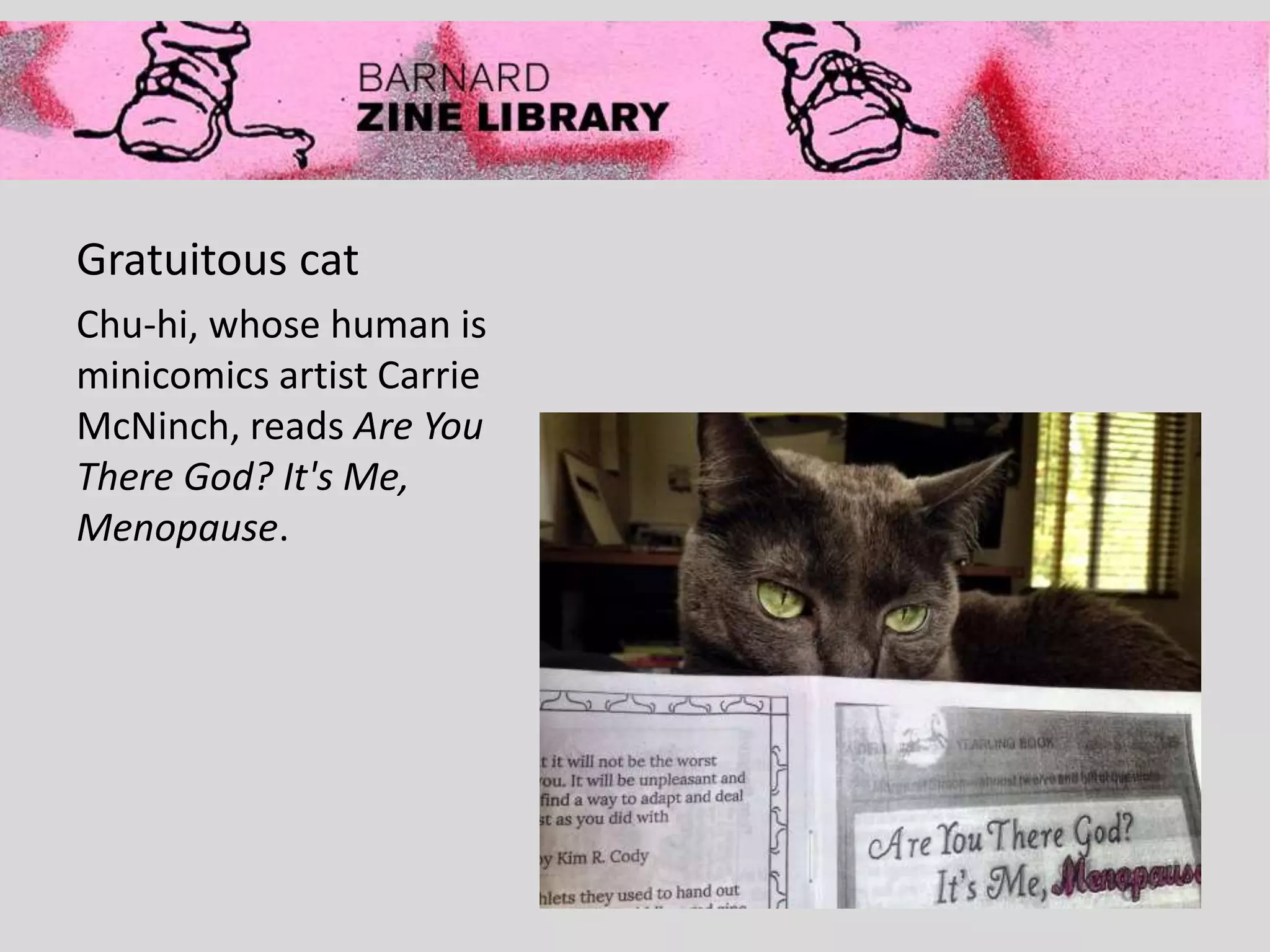 Gratuitous cat
Chu-hi, whose human is
minicomics artist Carrie
McNinch, reads Are You
There God? It's Me,
Menopause.
 