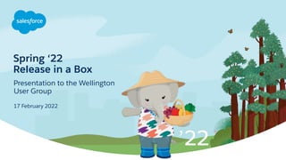 Spring ‘22
Release in a Box
Presentation to the Wellington
User Group
17 February 2022
 