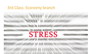 3rd Class: Economy branch
 