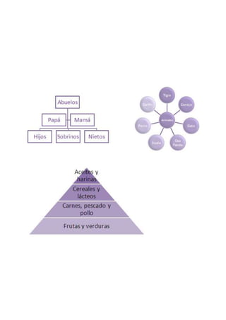 Libro ejercicios word