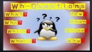 Wh questions