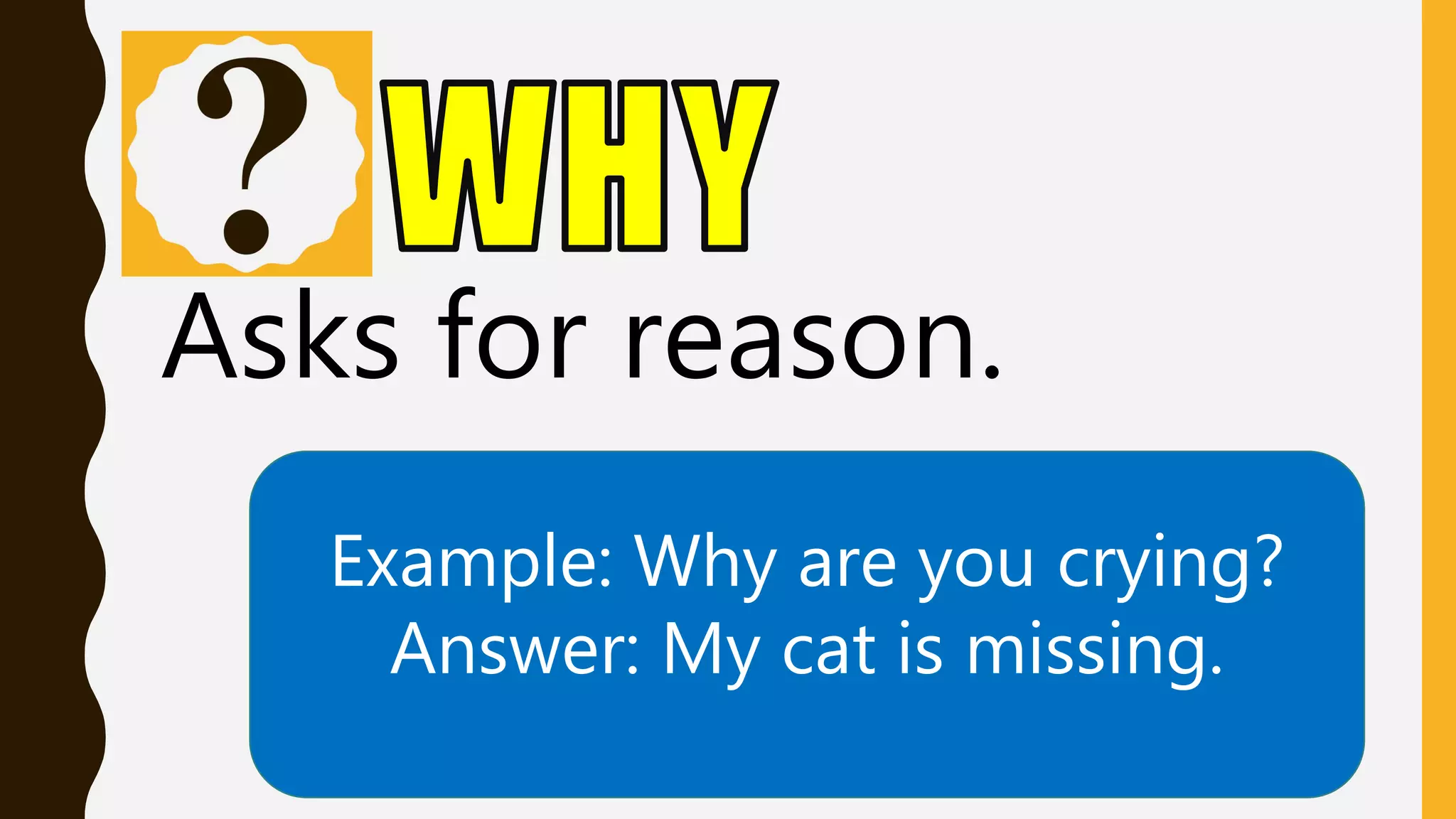 Asks for reason.
Example: Why are you crying?
Answer: My cat is missing.
 