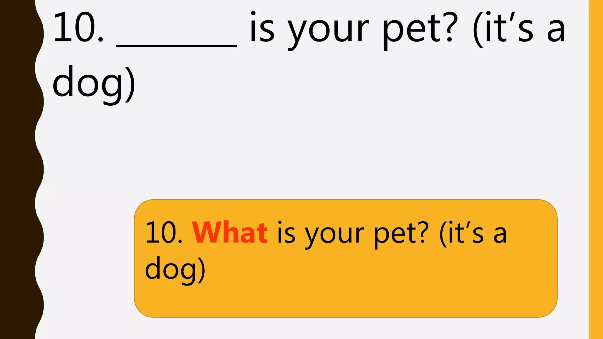10. _______ is your pet? (it’s a
dog)
10. What is your pet? (it’s a
dog)
 