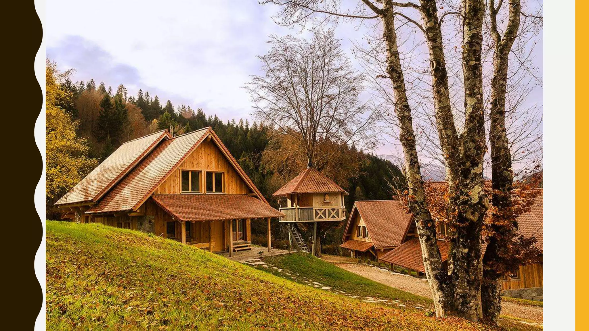 Wh questions lesson ppt for Grade 7