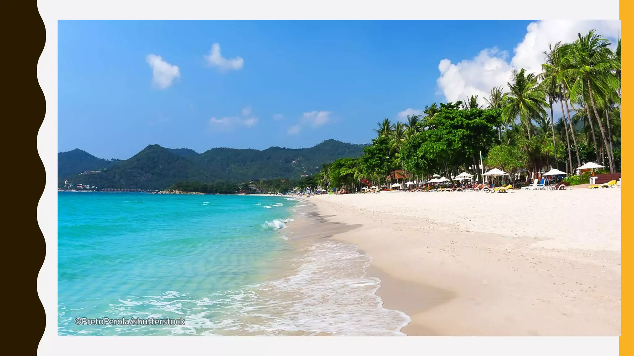 Wh questions lesson ppt for Grade 7