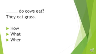 _____ do cows eat?
They eat grass.
 How
 What
 When
 