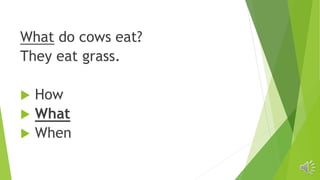 What do cows eat?
They eat grass.
 How
 What
 When
 