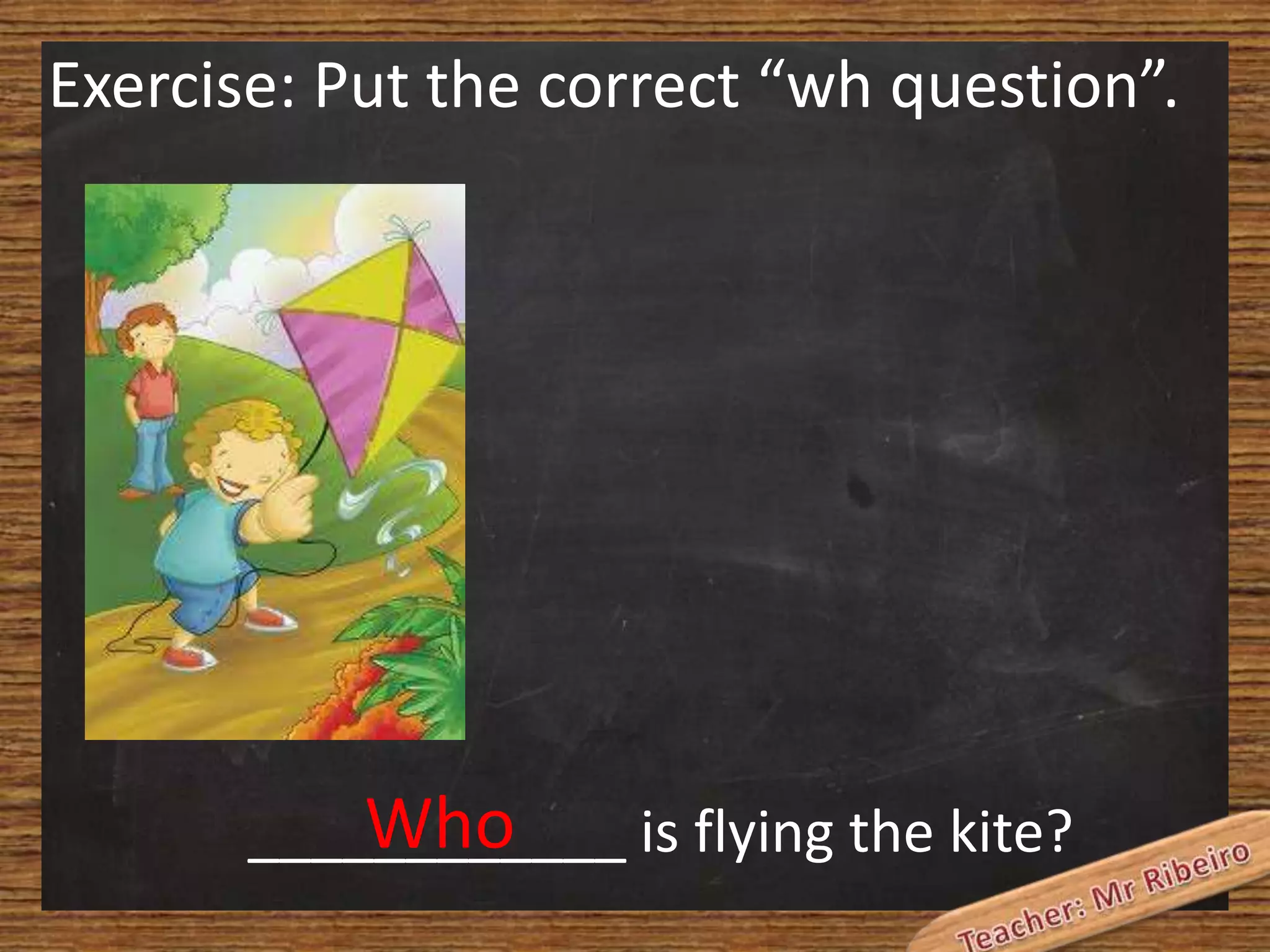 Exercise: Put the correct “wh question”.

Who
____________ is flying the kite?

 