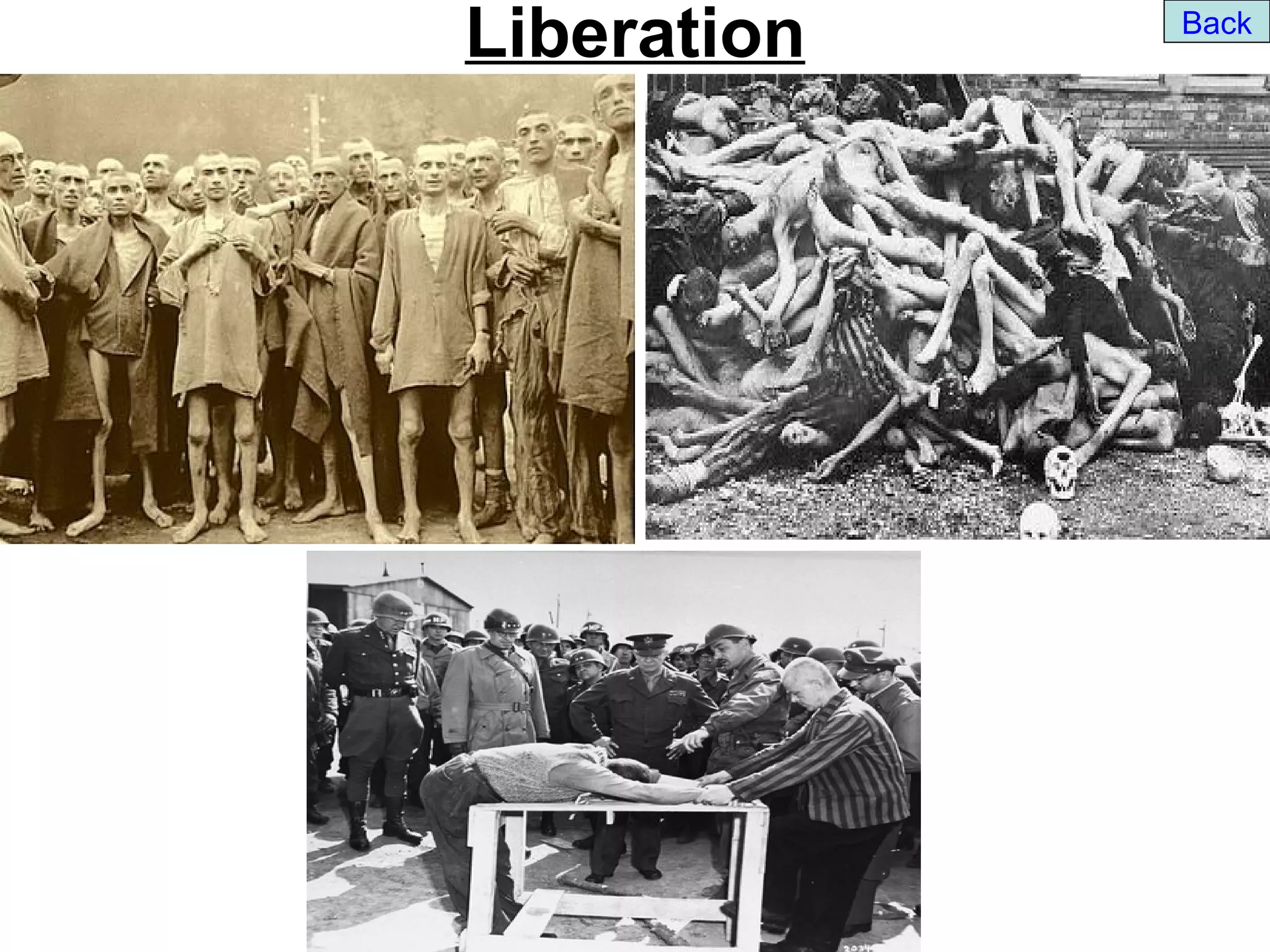 Liberation   Back
 