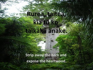 Rurea, taitea,
kia tū ko
taikākā anake.
Strip away the bark and
expose the heartwood.
 