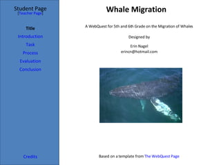 Whale Migration Student Page Title Introduction Task Process Evaluation Conclusion Credits [ Teacher Page ] A WebQuest for 5th and 6th Grade on the Migration of Whales Designed by Erin Nagel [email_address] Based on a template from  The  WebQuest  Page 