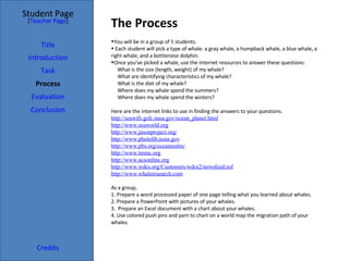 The Process Student Page Title Introduction Task Process Evaluation Conclusion Credits [ Teacher Page ] You will be in a group of 5 students. Each student will pick a type of whale: a gray whale, a humpback whale, a blue whale, a right whale, and a bottlenose dolphin.  Once you've picked a whale, use the internet resources to answer these questions: What is the size (length, weight) of my whale? What are identifying characteristics of my whale? What is the diet of my whale? Where does my whale spend the summers? Where does my whale spend the winters? Here are the internet links to use in finding the answers to your questions.  http: //seawifs . gsfc . nasa . gov/ocean_planet .html http://www. seaworld .org http://www. jasonproject .org/ http://www. photolib . noaa .gov http://www. pbs .org/oceanrealm/ http://www. tmmc .org http://www. acsonline .org http://www. wdcs .org/Customers/wdcs2/newsfeed.nsf http://www. whaleresearch .com As a group,  1. Prepare a word processed paper of one page telling what you learned about whales. 2. Prepare a PowerPoint with pictures of your whales.  3.  Prepare an Excel document with a chart about your whales. 4. Use colored push pins and yarn to chart on a world map the migration path of your whales.  
