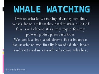 by Emily Downs I went whale watching during my first week here at Bentley and it was a lot of fun, so I chose it as my topic for my power point presentation. We took a bus and drove for about an hour where we finally boarded the boat and set sail in search of some whales. 