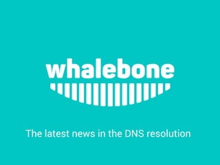 The latest news in the DNS resolution
 