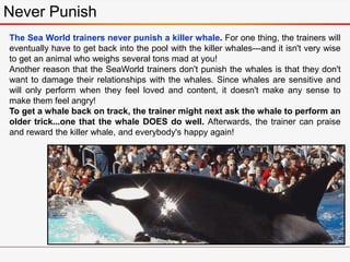 The Sea World trainers never punish a killer whale. For one thing, the trainers will
eventually have to get back into the pool with the killer whales---and it isn't very wise
to get an animal who weighs several tons mad at you!
Another reason that the SeaWorld trainers don't punish the whales is that they don't
want to damage their relationships with the whales. Since whales are sensitive and
will only perform when they feel loved and content, it doesn't make any sense to
make them feel angry!
To get a whale back on track, the trainer might next ask the whale to perform an
older trick...one that the whale DOES do well. Afterwards, the trainer can praise
and reward the killer whale, and everybody's happy again!
Never Punish
 